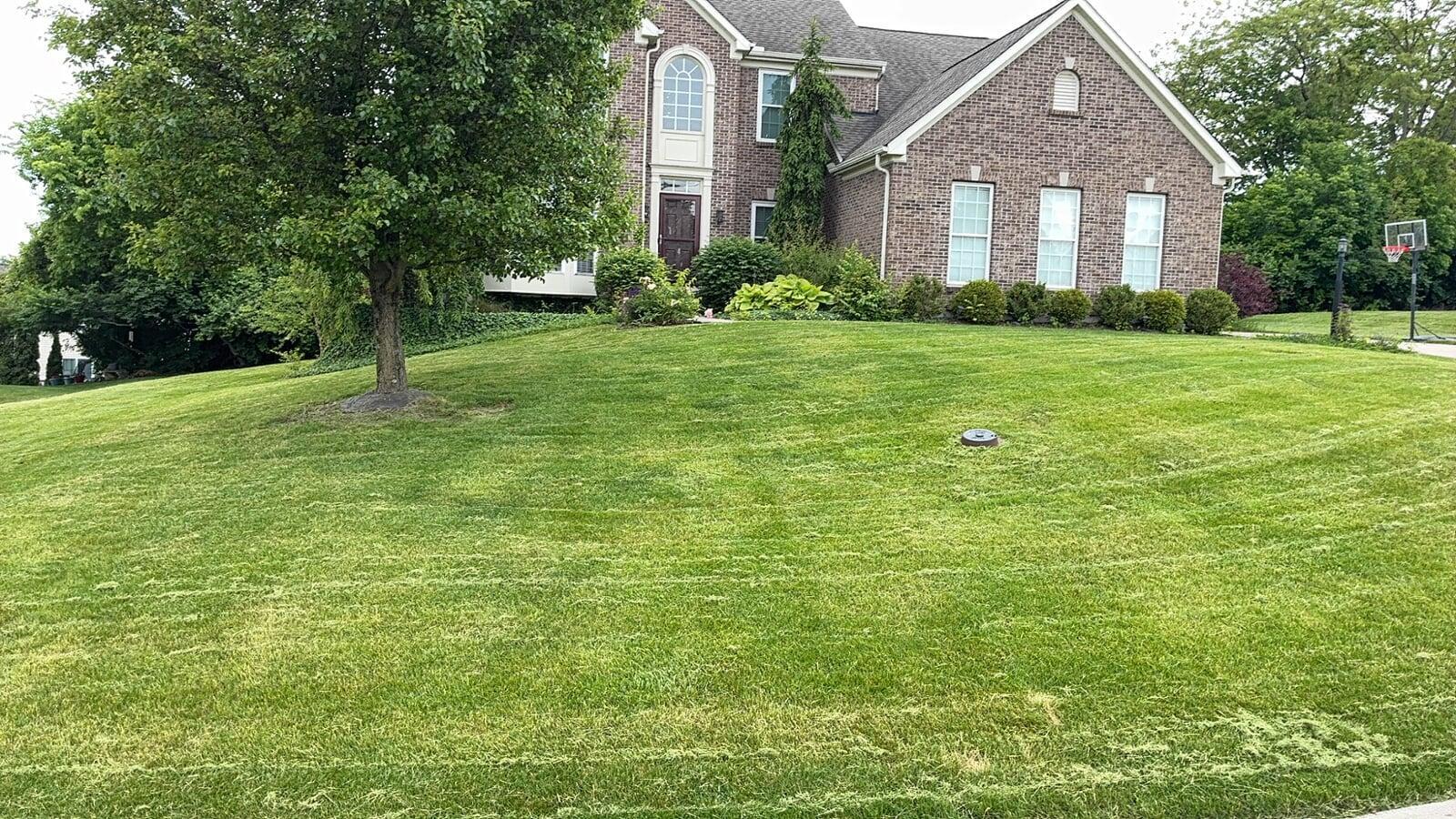 Mowing Service